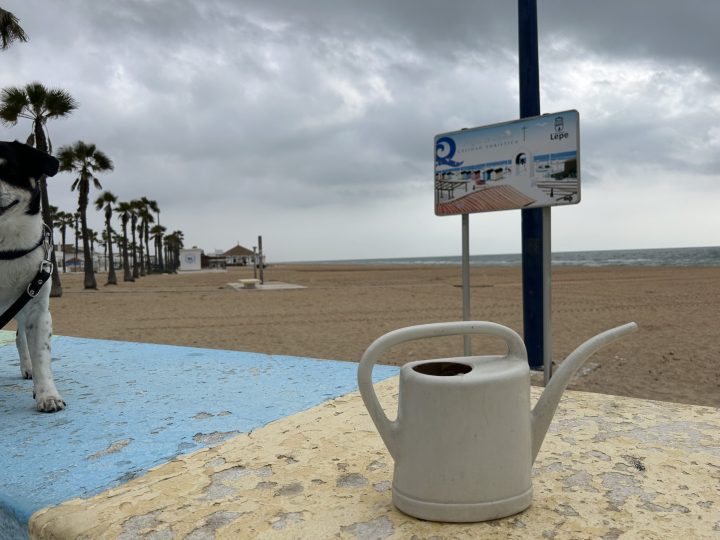 Strand La Antilla