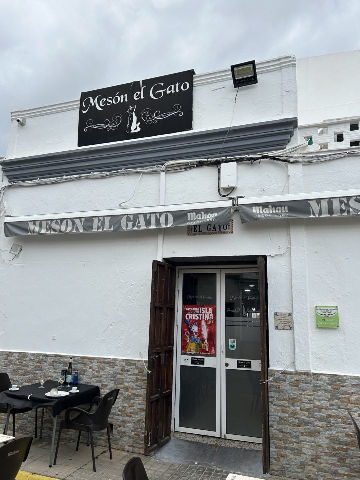Meso el Gato - Huis van de Kat